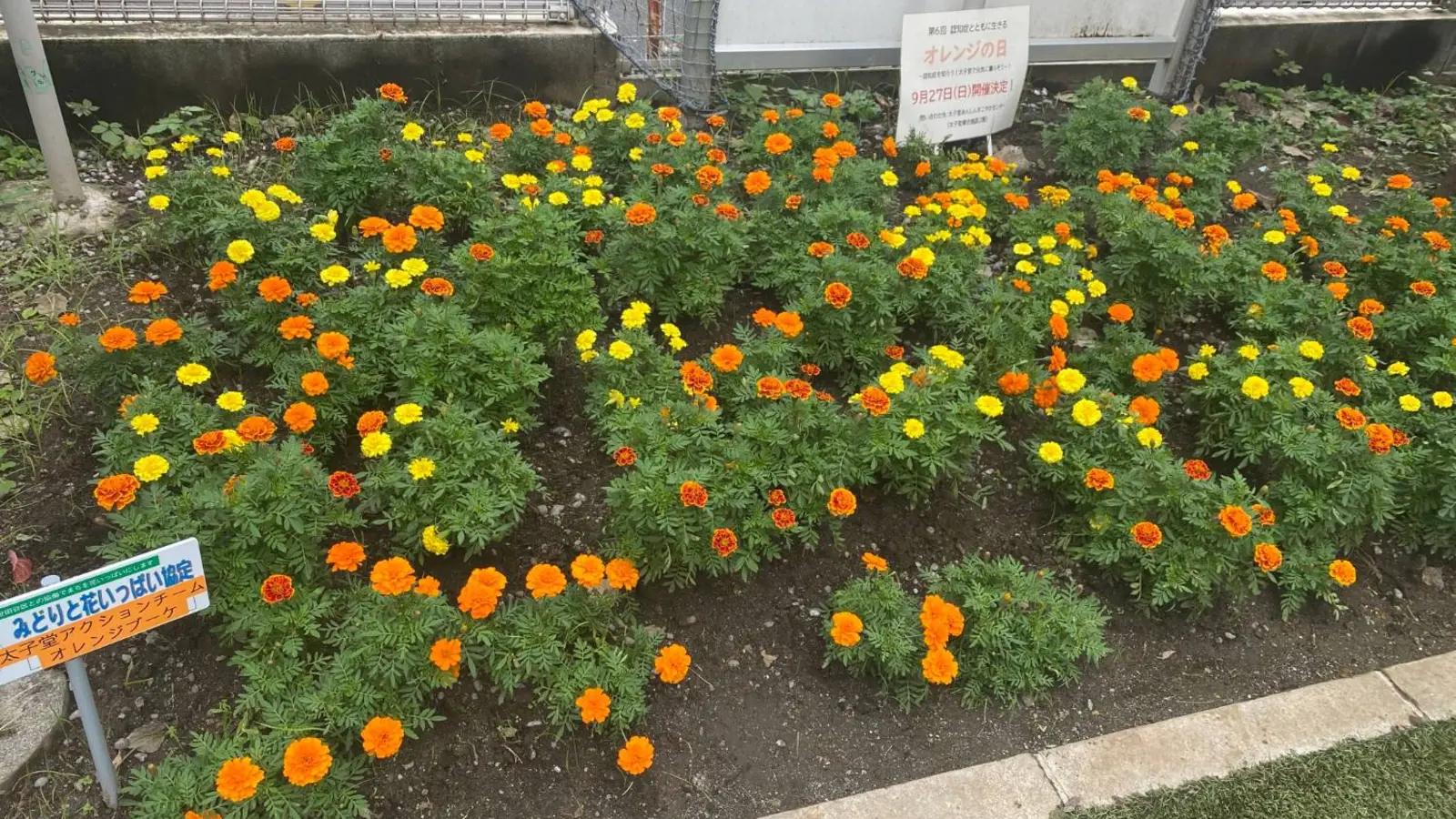 認知症になっても、この街で。三軒茶屋「オレンジの日」に参加してきました