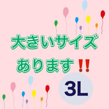 【介護】大きいサイズあります！！【世田谷】